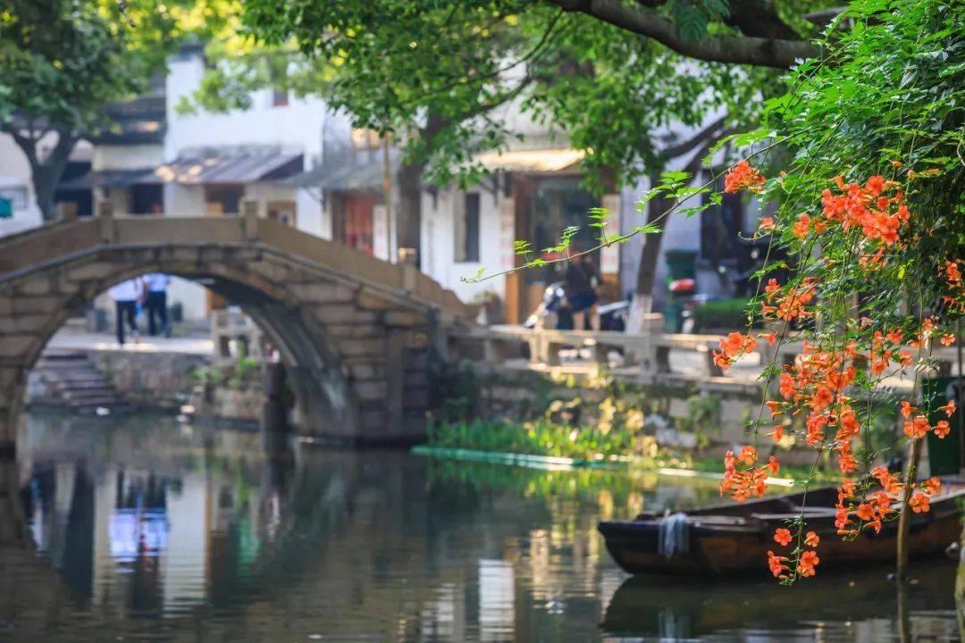 救援小白狼